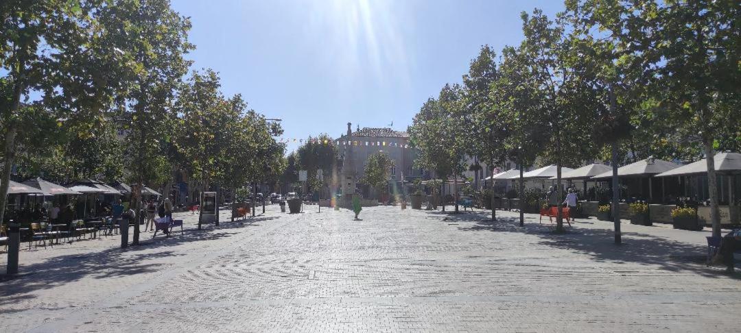 Chez Bichette Saint Maximin Daire Dış mekan fotoğraf